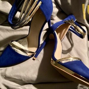 Blue with gold accents